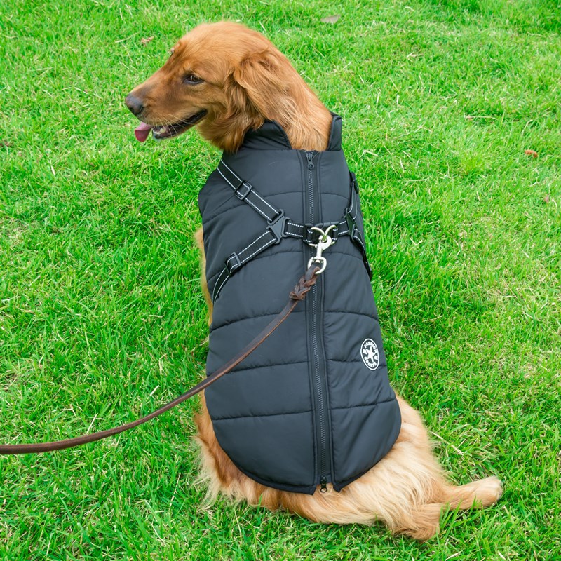 Waterproof jacket for store dogs